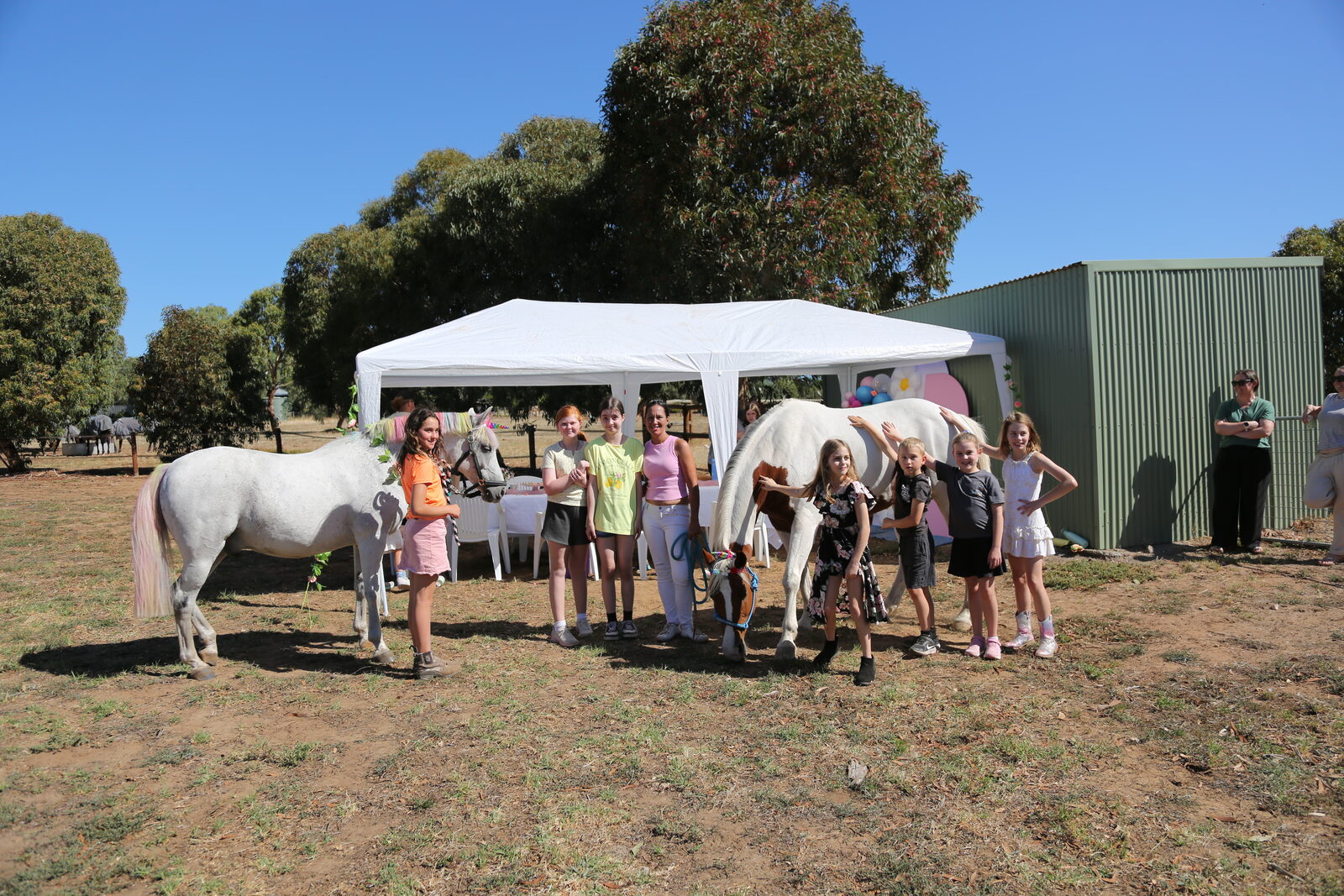 Unicorn party moment 6